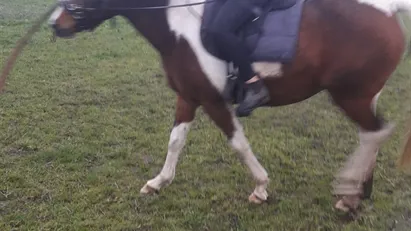 75 m2 lejlighed i Haarby til leje
