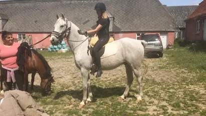 Bo på 1. Sal på hestefarm