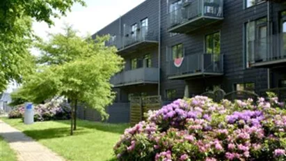 Lejlighed til leje i 5200 Odense V
