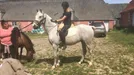 Værelse til leje, Haarby, &lt;span class=&quot;blurred street&quot; onclick=&quot;ProcessAdRequest(1308994)&quot;&gt;&lt;span class=&quot;hint&quot;&gt;Se vej-navn&lt;/span&gt;[xxxxxxxxxx]&lt;/span&gt;